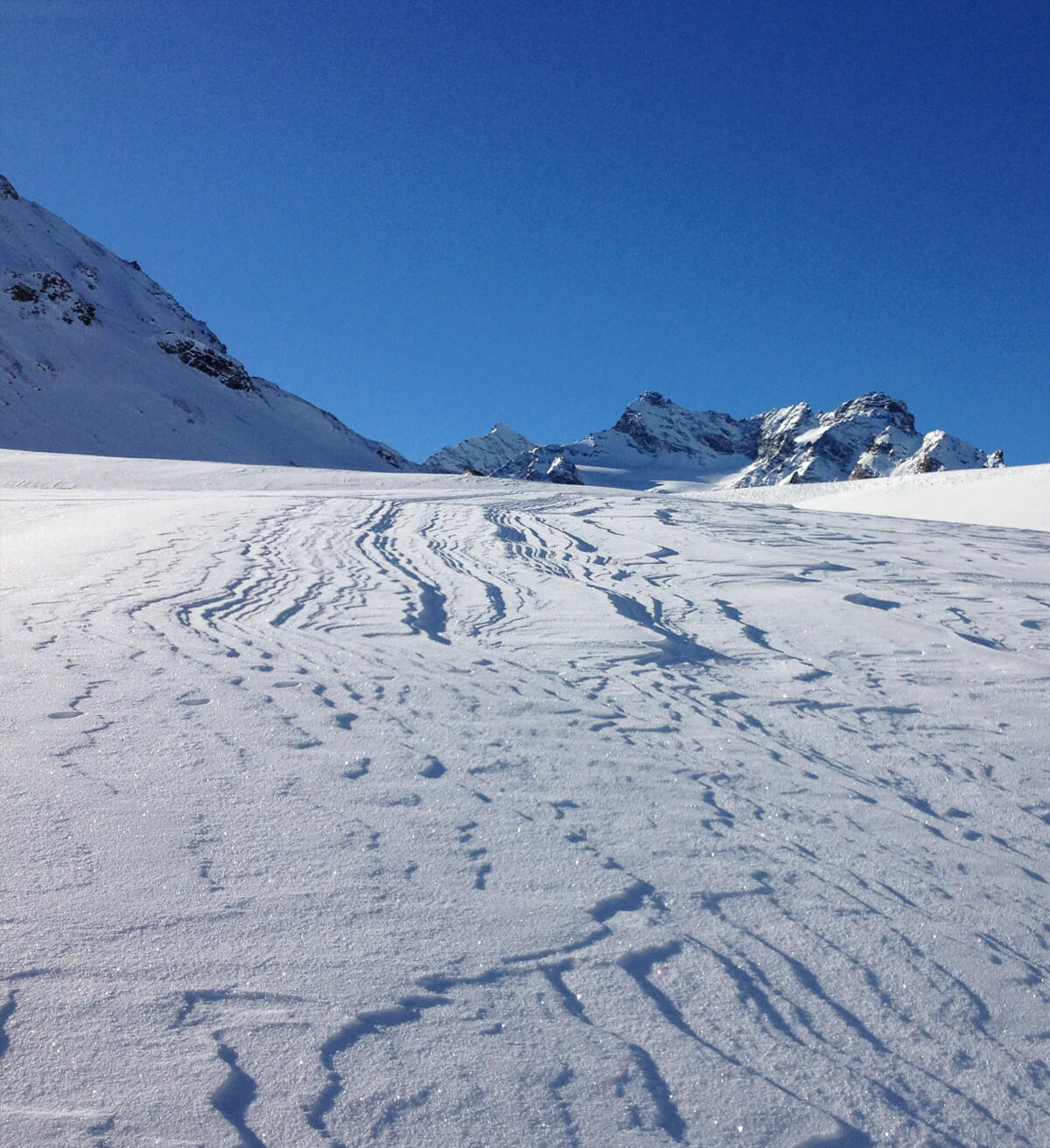 Training & Entwicklung in Hard / Vorarlberg