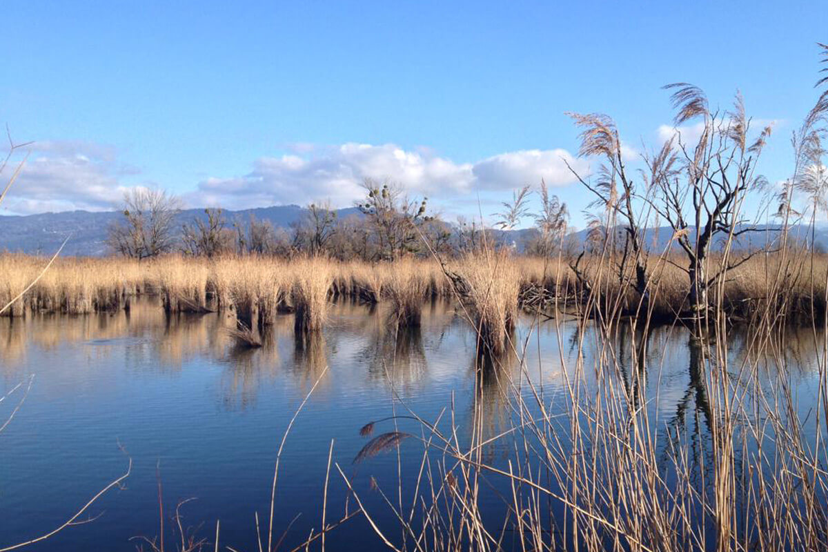 Psychotherapie in Hard / Vorarlberg